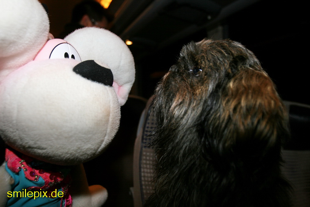 Norden 28.3.09 (1709)